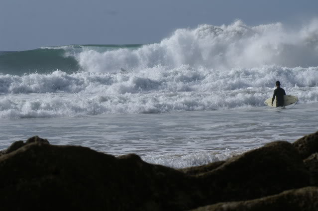 Sifflet Hurleur Tornado BCB de survie marine solas randonnée montagne