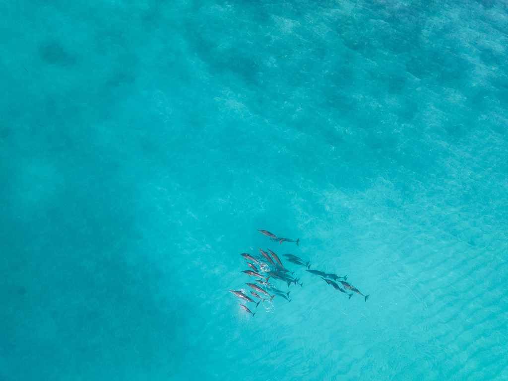 Maldives2018-DJI-0523.jpg