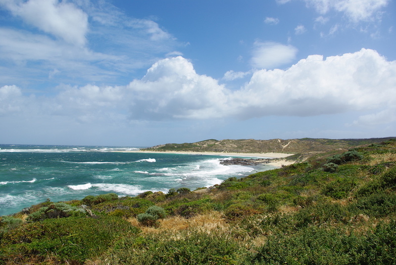 IMGP8645 - copie.JPG