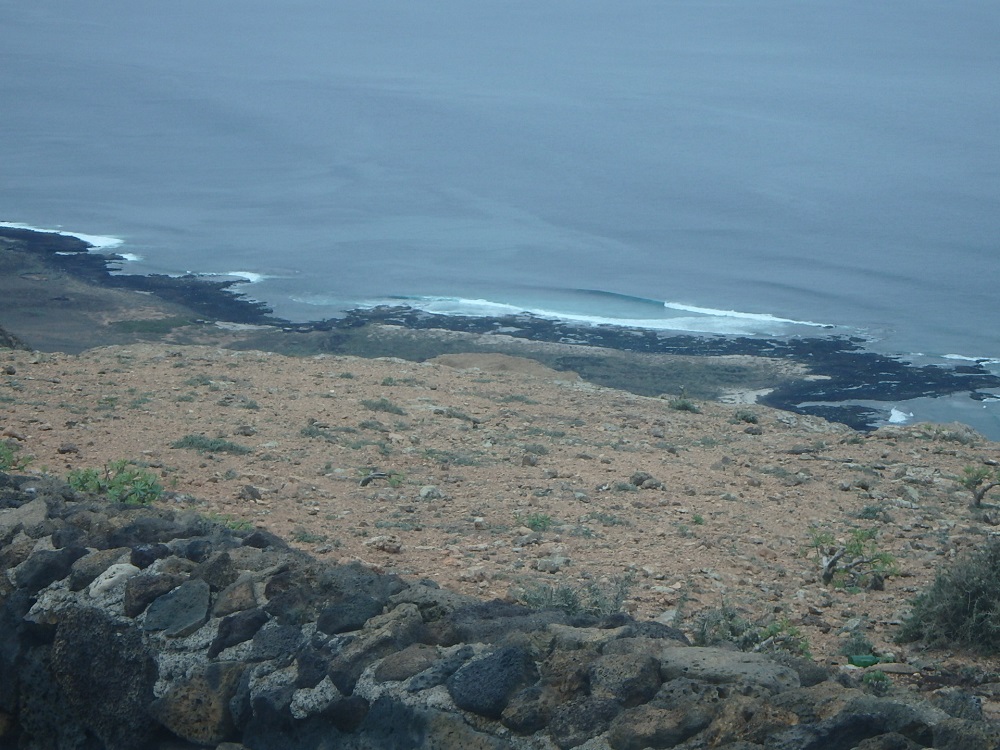 x / occy's.jpg occy's.jpg