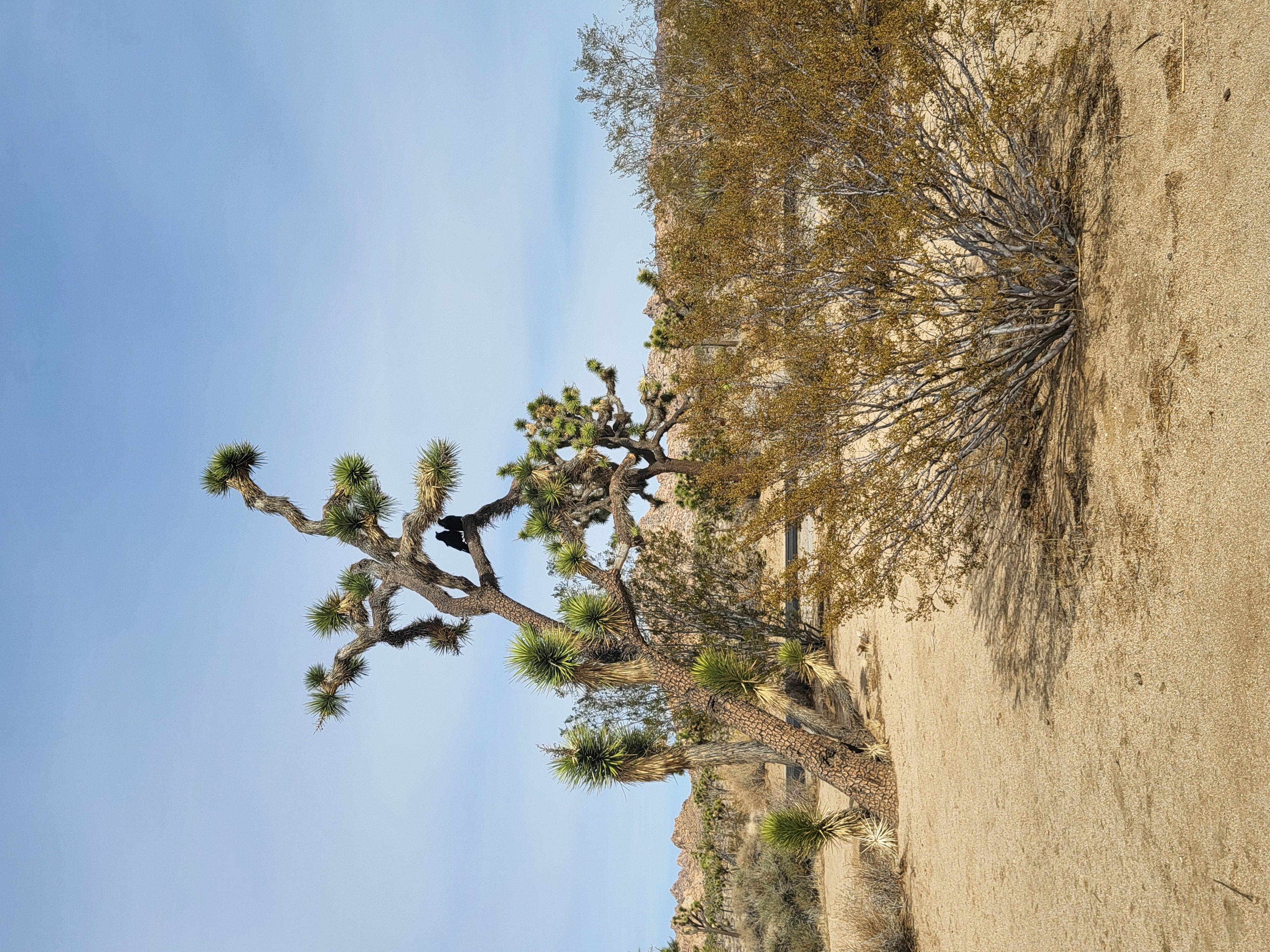 20250216_133051.jpg 20250216_133051.jpg