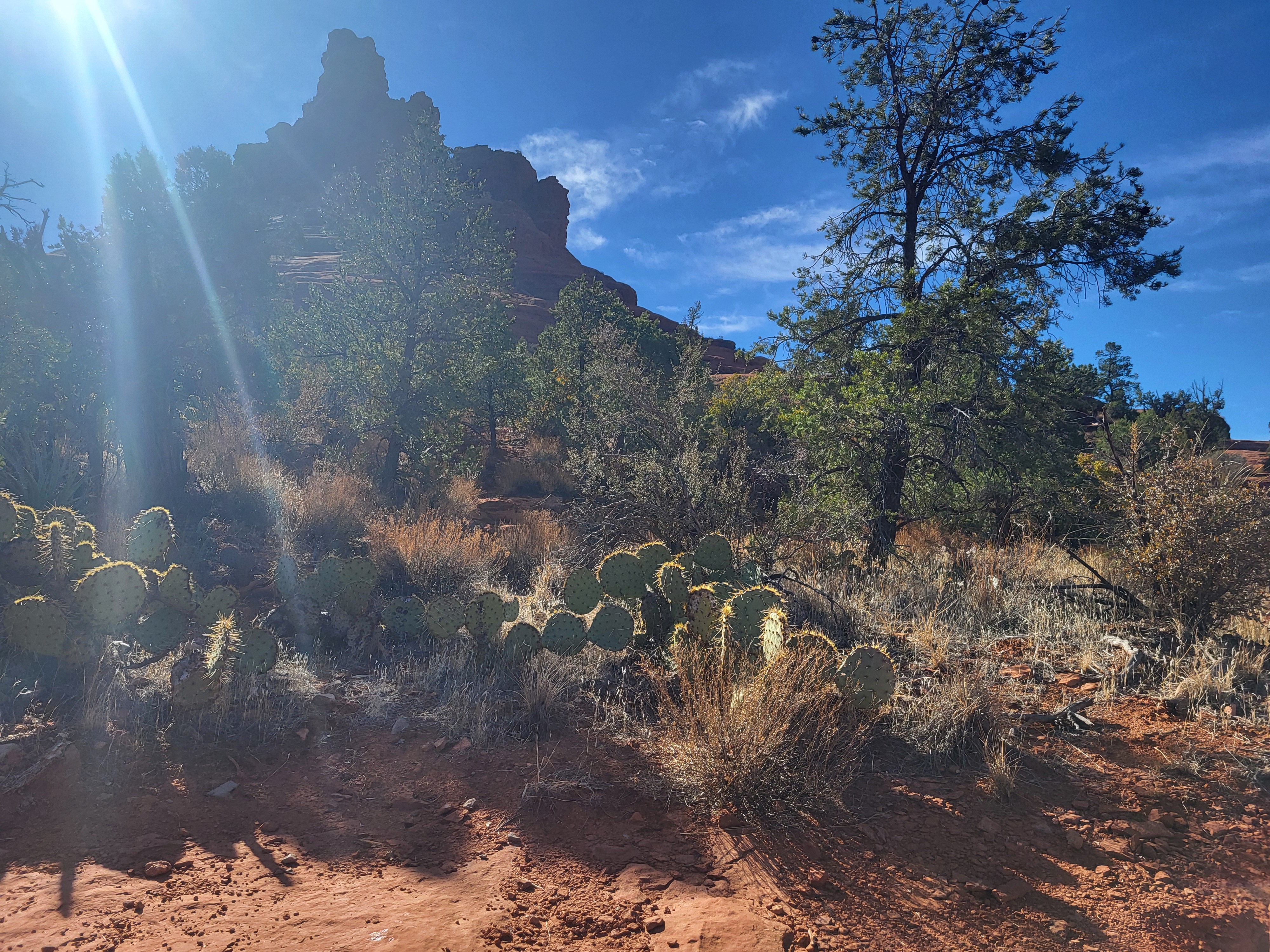 20250224_100034.jpg 20250224_100034.jpg