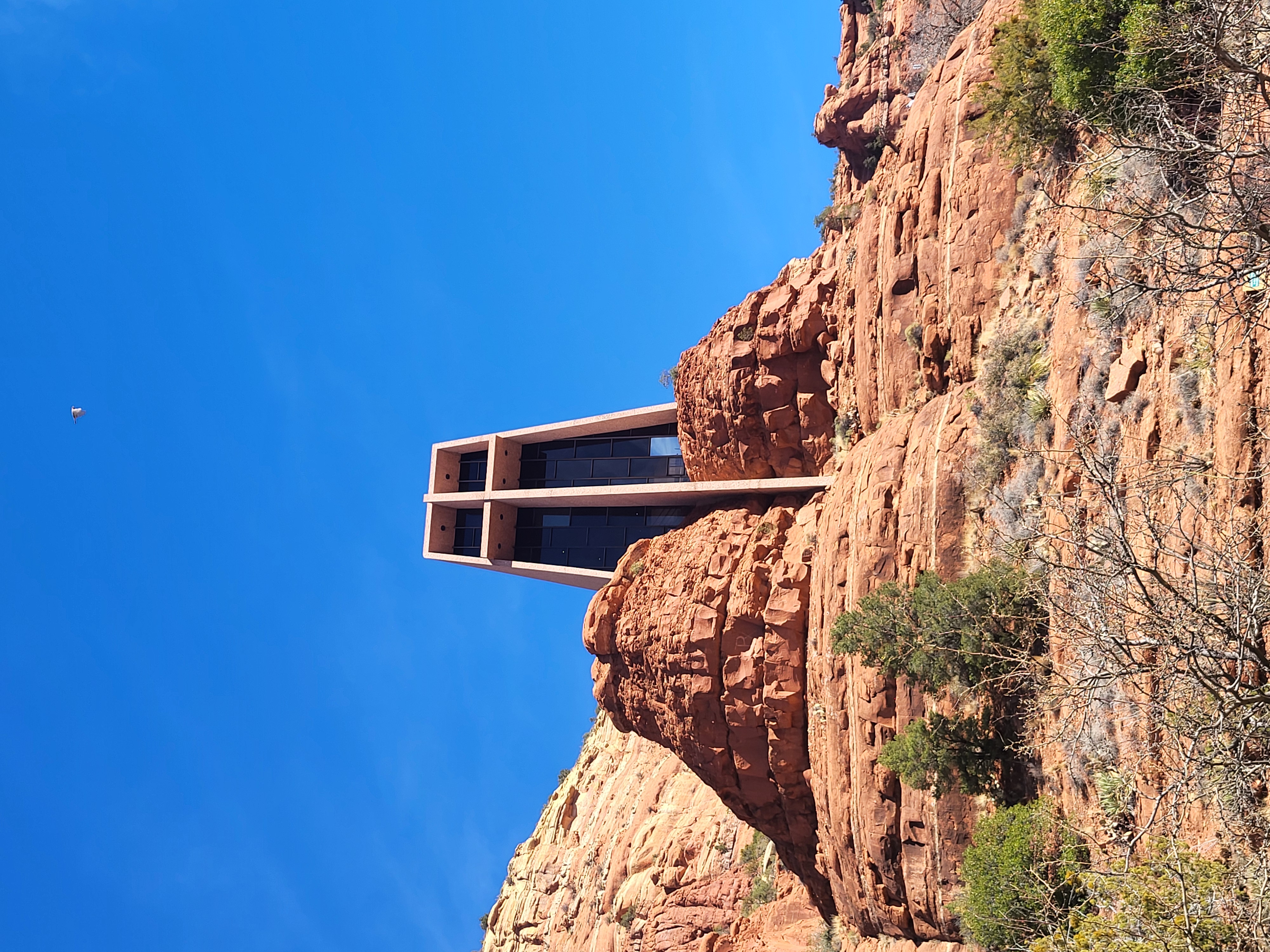 20250224_111002.jpg 20250224_111002.jpg