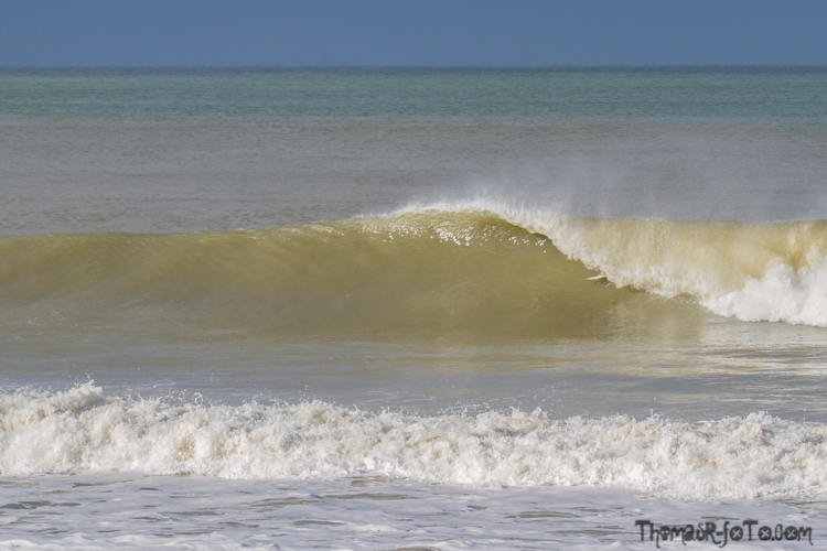 V_2503018_800px-1.jpg V_2503018_800px-1.jpg