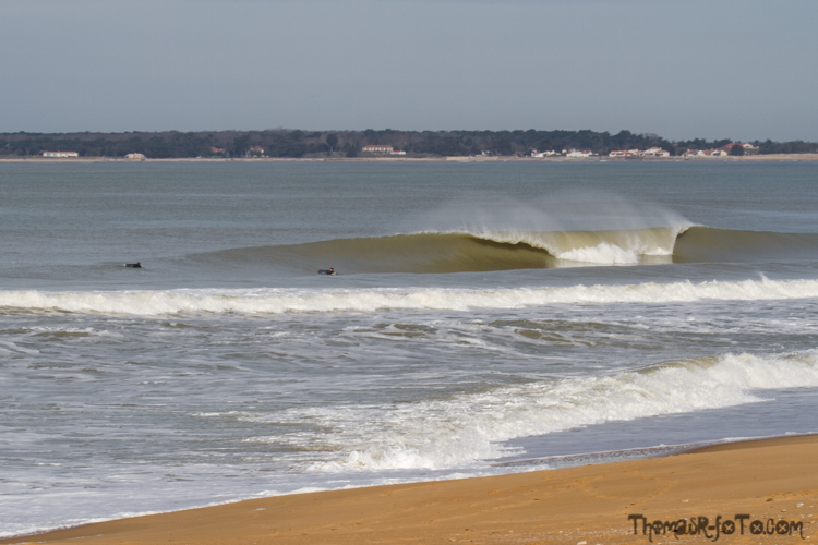 V_2503018_800px-2.jpg V_2503018_800px-2.jpg