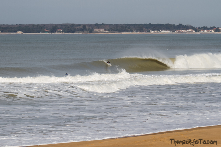 V_2503018_800px-3.jpg V_2503018_800px-3.jpg