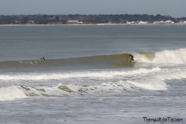 V_2503018_800px-4.jpg V_2503018_800px-4.jpg