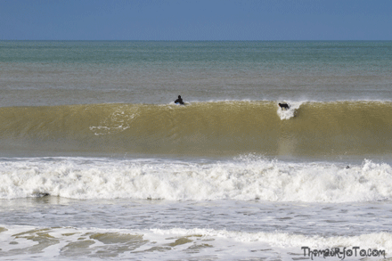 Seq_barrel_440px.gif Seq_barrel_440px.gif