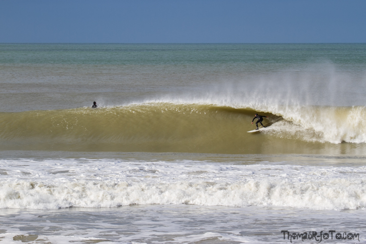 V_2503018_800px-7.jpg V_2503018_800px-7.jpg