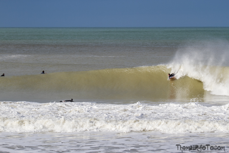 V_2503018_800px-12.jpg V_2503018_800px-12.jpg