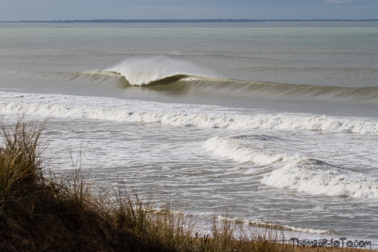 V_2503018_800px-18.jpg V_2503018_800px-18.jpg