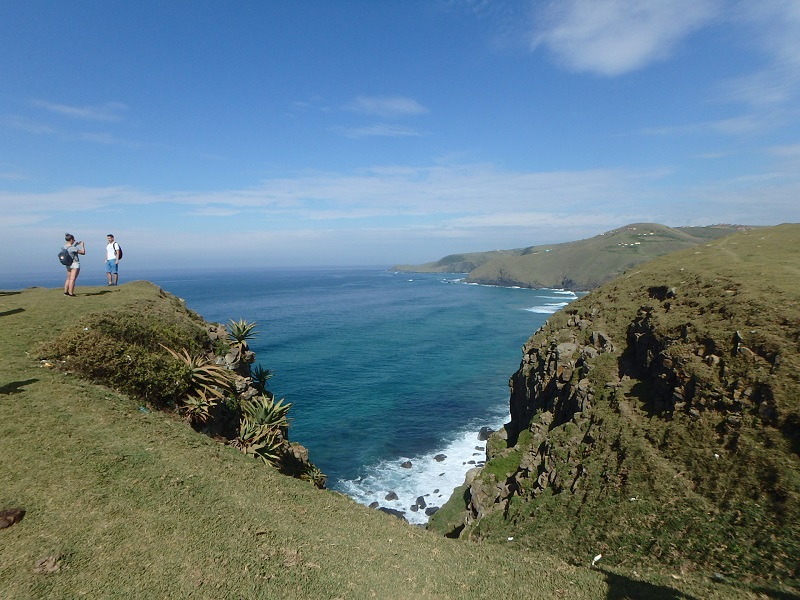 P5030461.JPG P5030461.JPG