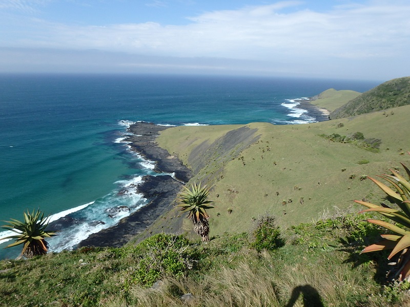 P5030471.JPG P5030471.JPG