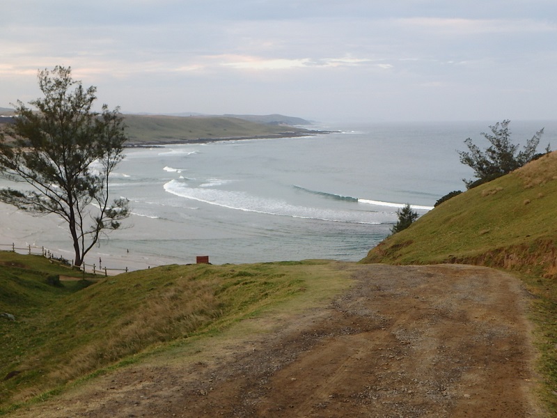 P5030488.JPG P5030488.JPG