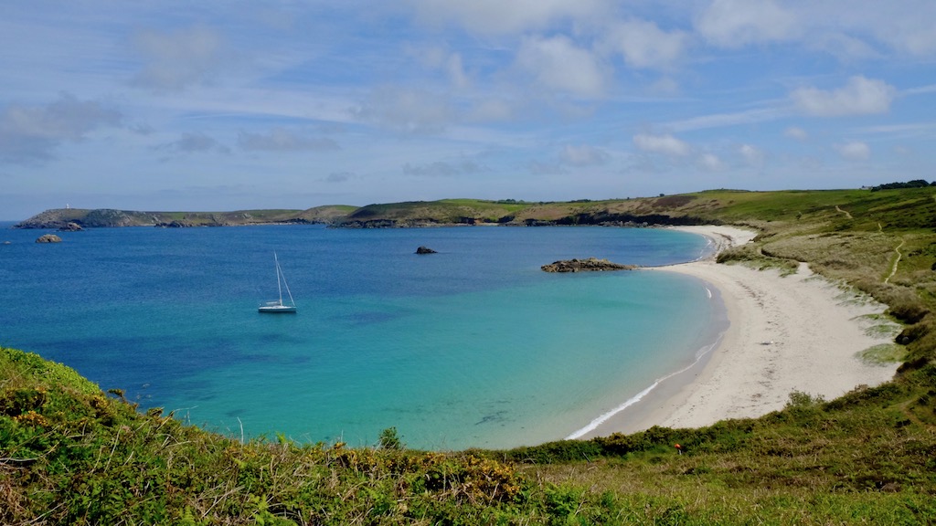 DSCF8082.jpg DSCF8082.jpg