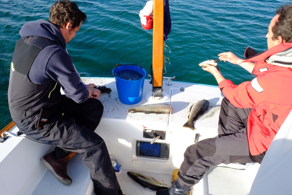 DSCF8125.JPG DSCF8125.JPG