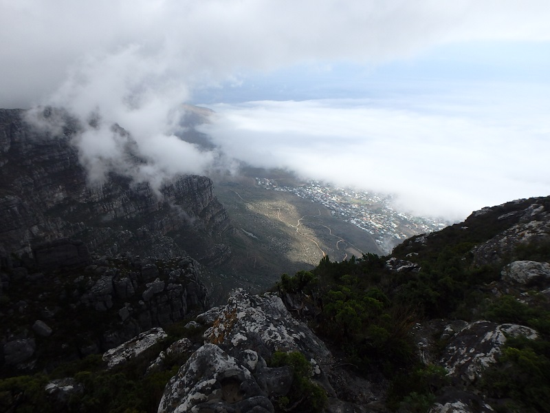 P5171007.JPG P5171007.JPG