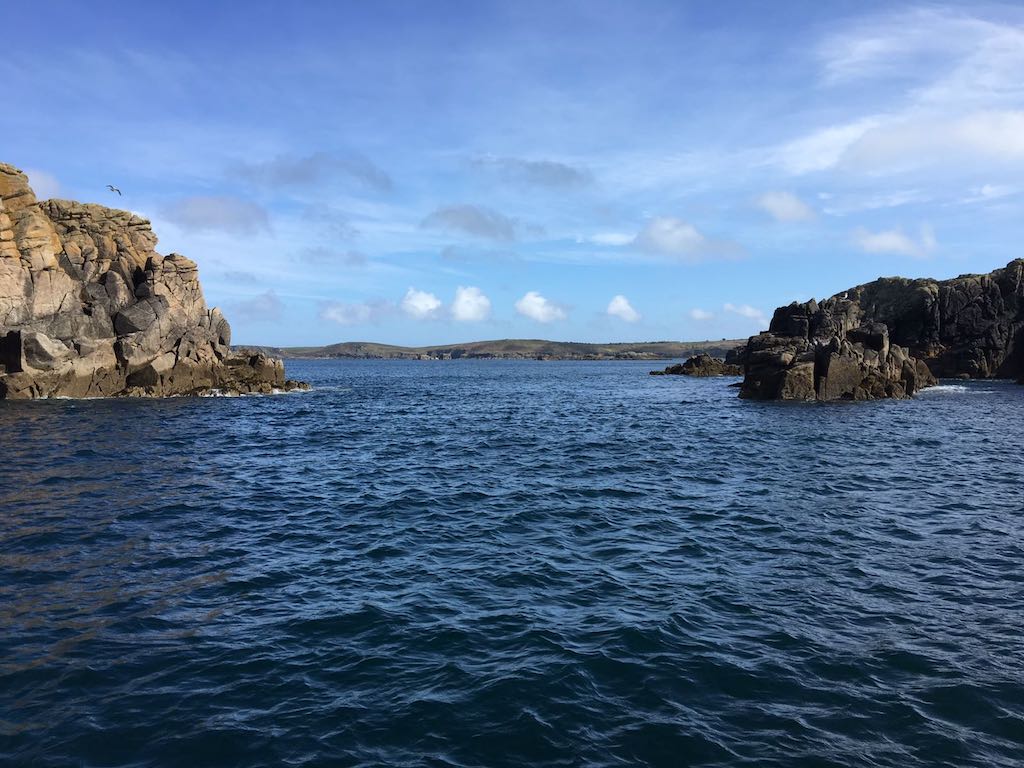 IMG-20170530-WA0006.jpg IMG-20170530-WA0006.jpg