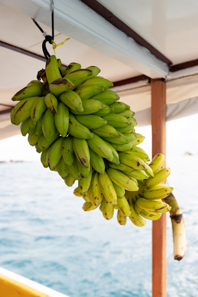 Maldives2018-1024-015.jpg Maldives2018-1024-015.jpg