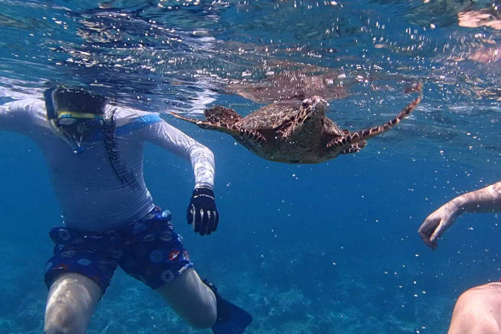 Maldives2018-1024-213-2.jpg Maldives2018-1024-213-2.jpg