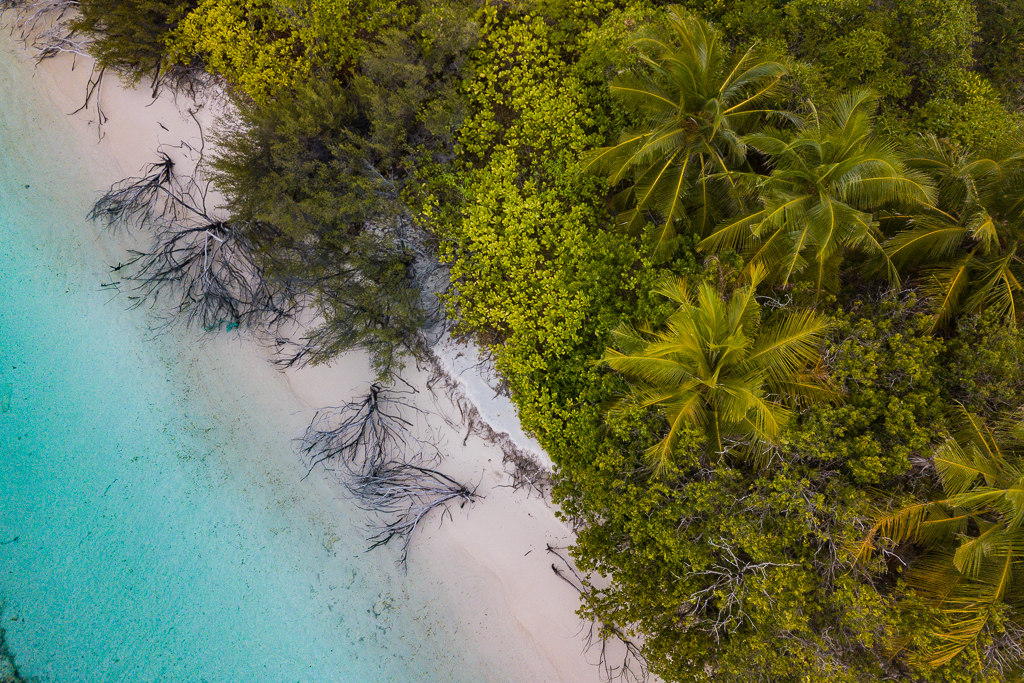 Maldives2018-1024-147.jpg Maldives2018-1024-147.jpg