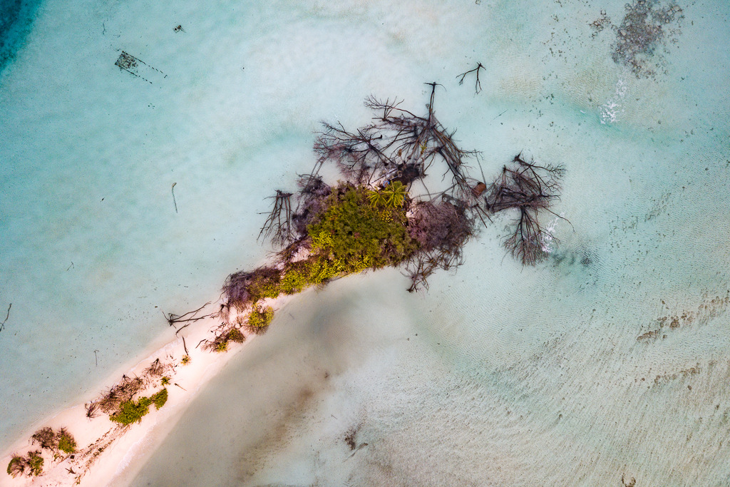 Maldives2018-1024-155.jpg Maldives2018-1024-155.jpg