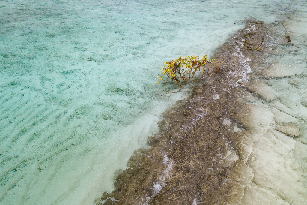 Maldives2018-1024-156.jpg Maldives2018-1024-156.jpg