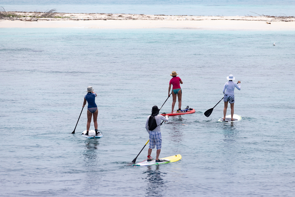 Maldives2018-1024-058.jpg Maldives2018-1024-058.jpg