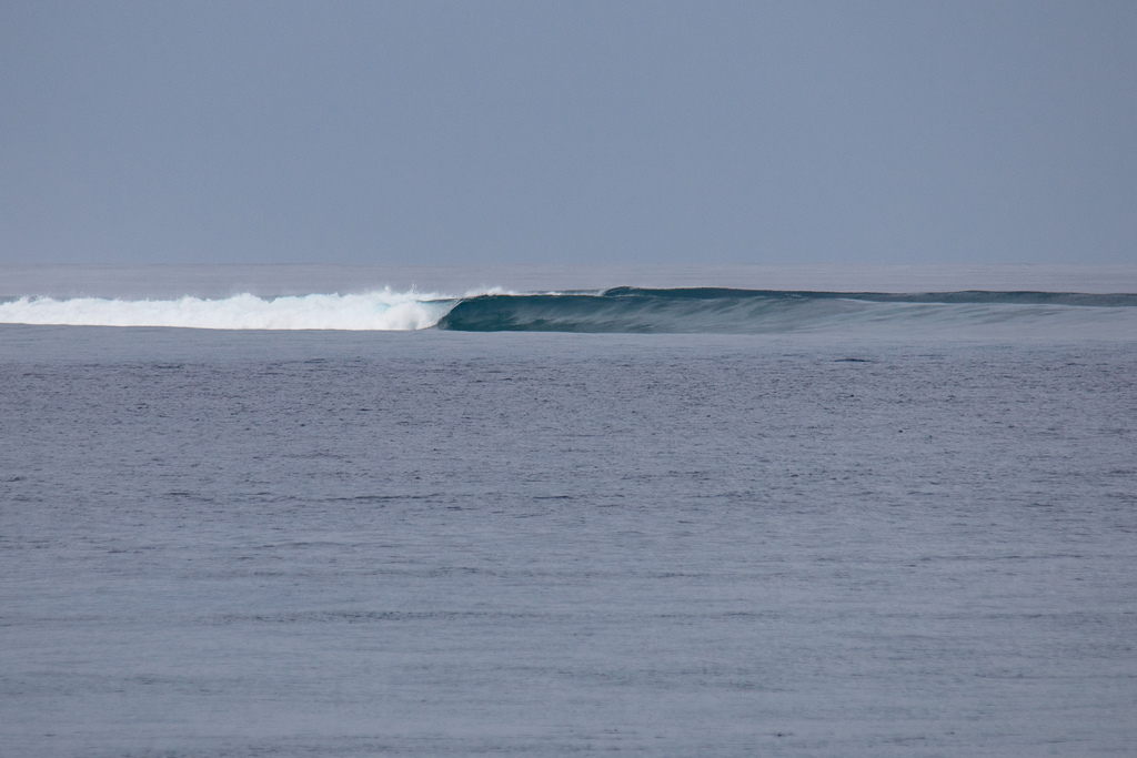 Maldives2018-1024-052.jpg Maldives2018-1024-052.jpg