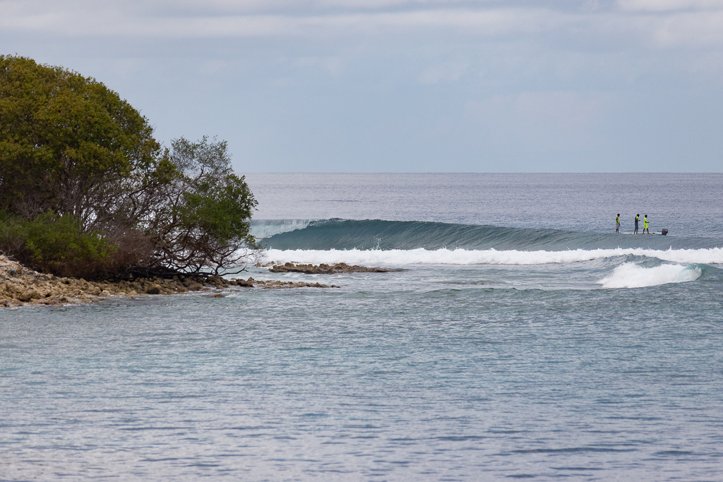 Maldives2018-1024-075.jpg Maldives2018-1024-075.jpg