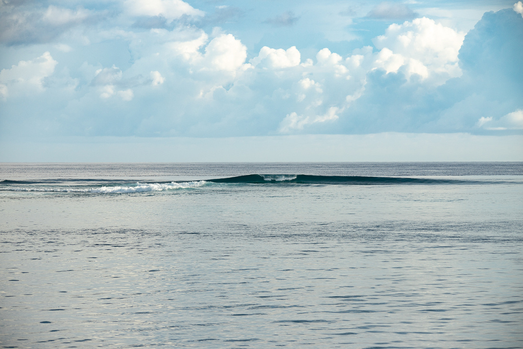 Maldives2018-1024-079.jpg Maldives2018-1024-079.jpg