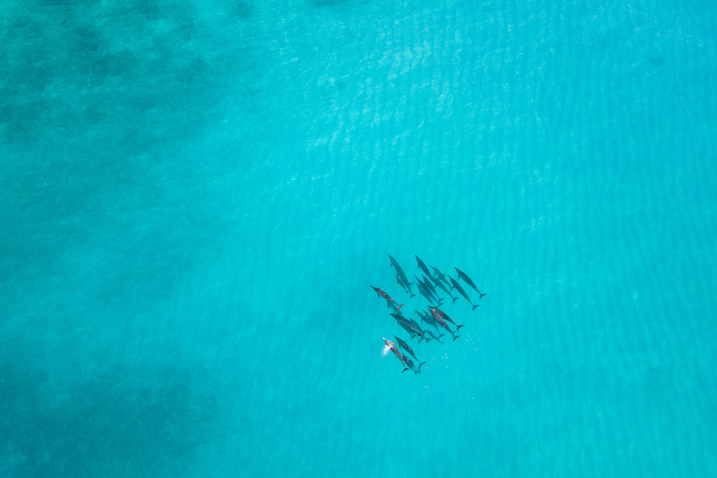 Maldives2018-1024-177.jpg Maldives2018-1024-177.jpg