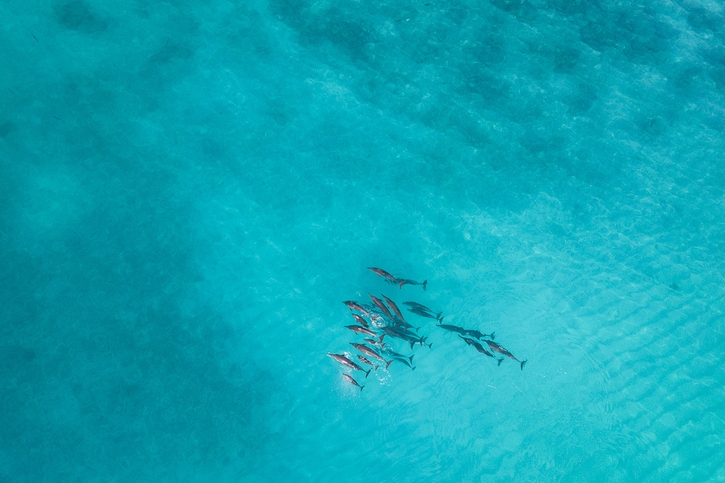 Maldives2018-1024-178.jpg Maldives2018-1024-178.jpg