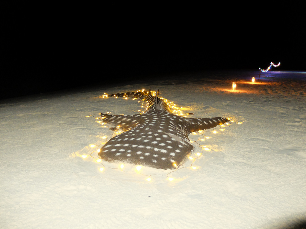 Maldives2018-1024-216.jpg Maldives2018-1024-216.jpg