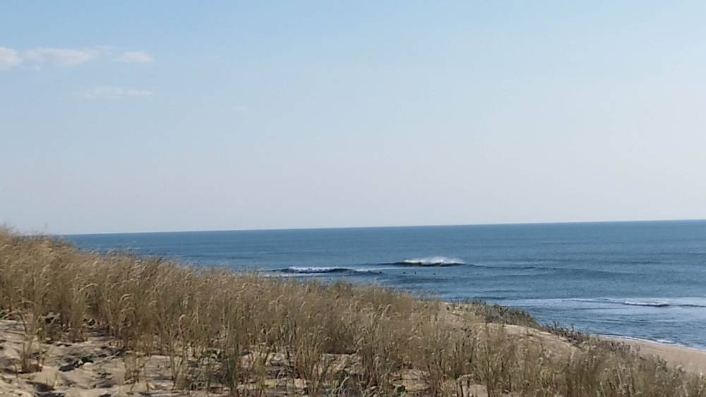 IMG_20250410_185123.jpg