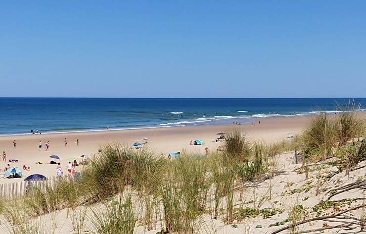 IMG_20250711_001046.jpg IMG_20250711_001046.jpg