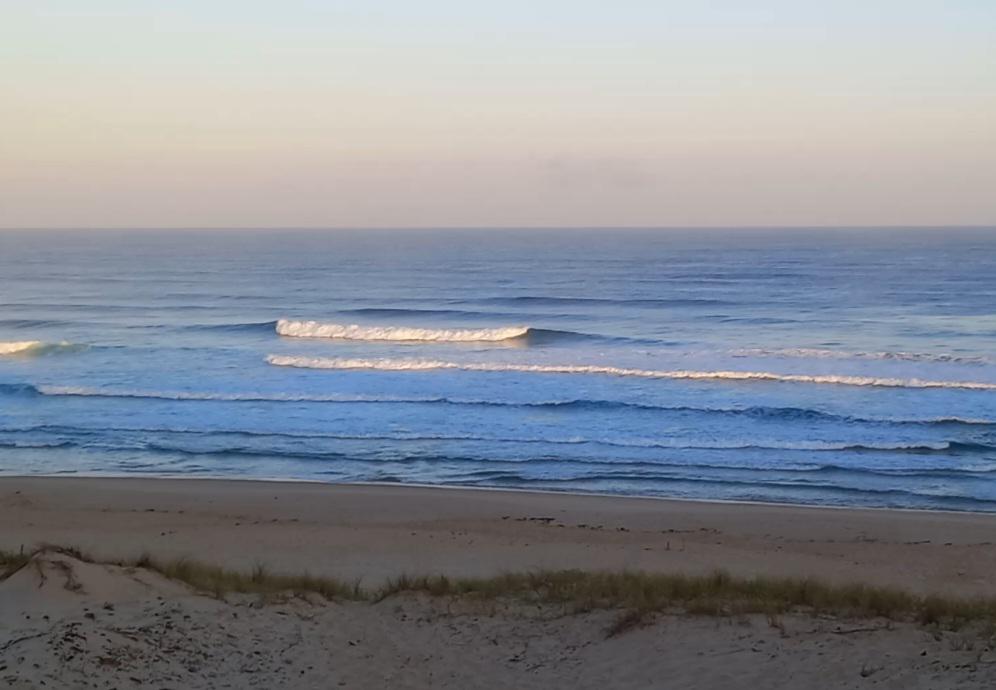 signal-2025-07-16-104827_002.jpeg signal-2025-07-16-104827_002.jpeg