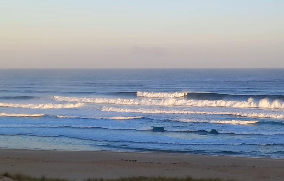 signal-2025-07-16-104827.jpeg signal-2025-07-16-104827.jpeg