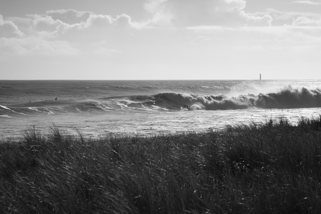 20260131-L1000055.jpg