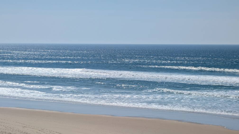 PXL_20260320_131743309.jpg PXL_20260320_131743309.jpg