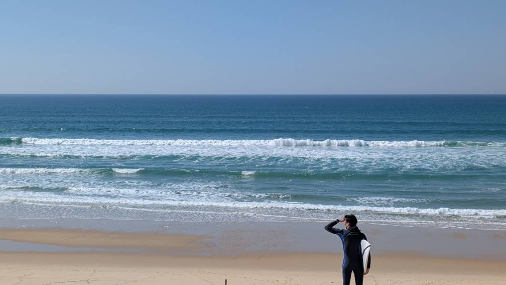 PXL_20260320_131708277.jpg PXL_20260320_131708277.jpg