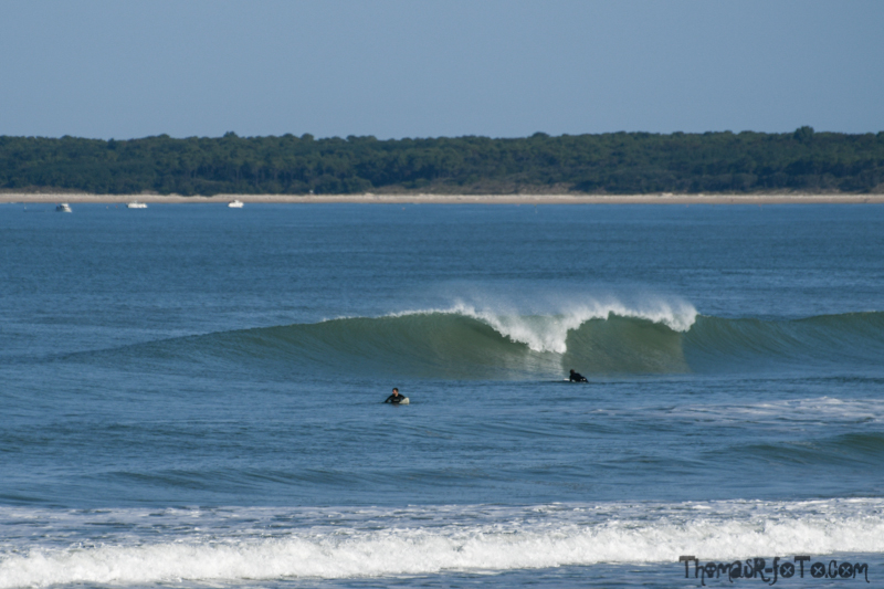 V_18082018_800px-6.jpg V_18082018_800px-6.jpg