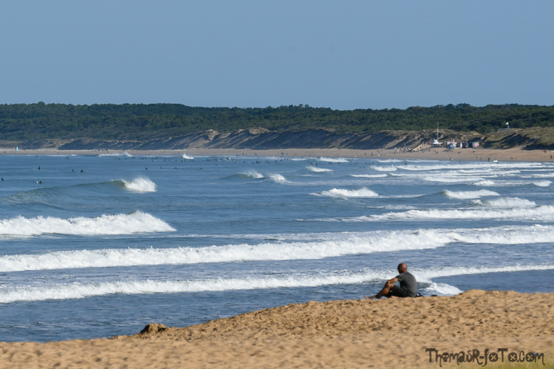 V_18082018_800px-13.jpg V_18082018_800px-13.jpg