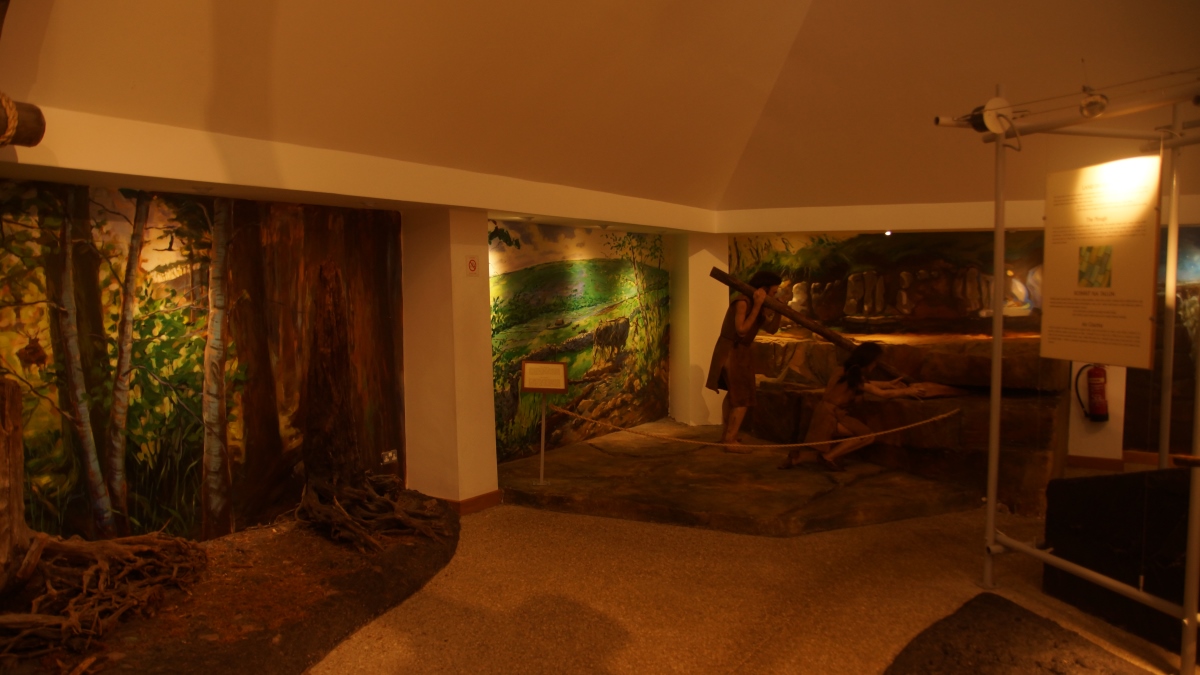 DSC05046.JPG DSC05046.JPG