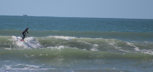 7.gif 7.gif