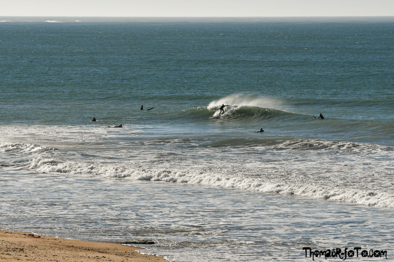 R_131018_800px-1.jpg R_131018_800px-1.jpg