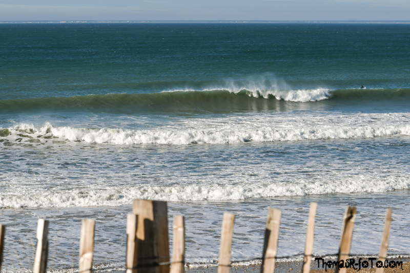 R_131018_800px-2.jpg R_131018_800px-2.jpg