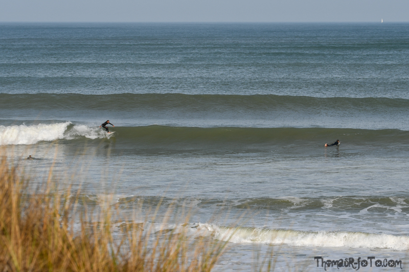 R_131018_800px-13.jpg R_131018_800px-13.jpg