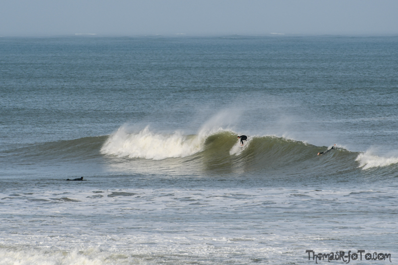 R_131018_800px-15.jpg R_131018_800px-15.jpg