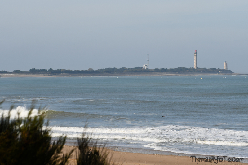 R_131018_800px-18.jpg R_131018_800px-18.jpg